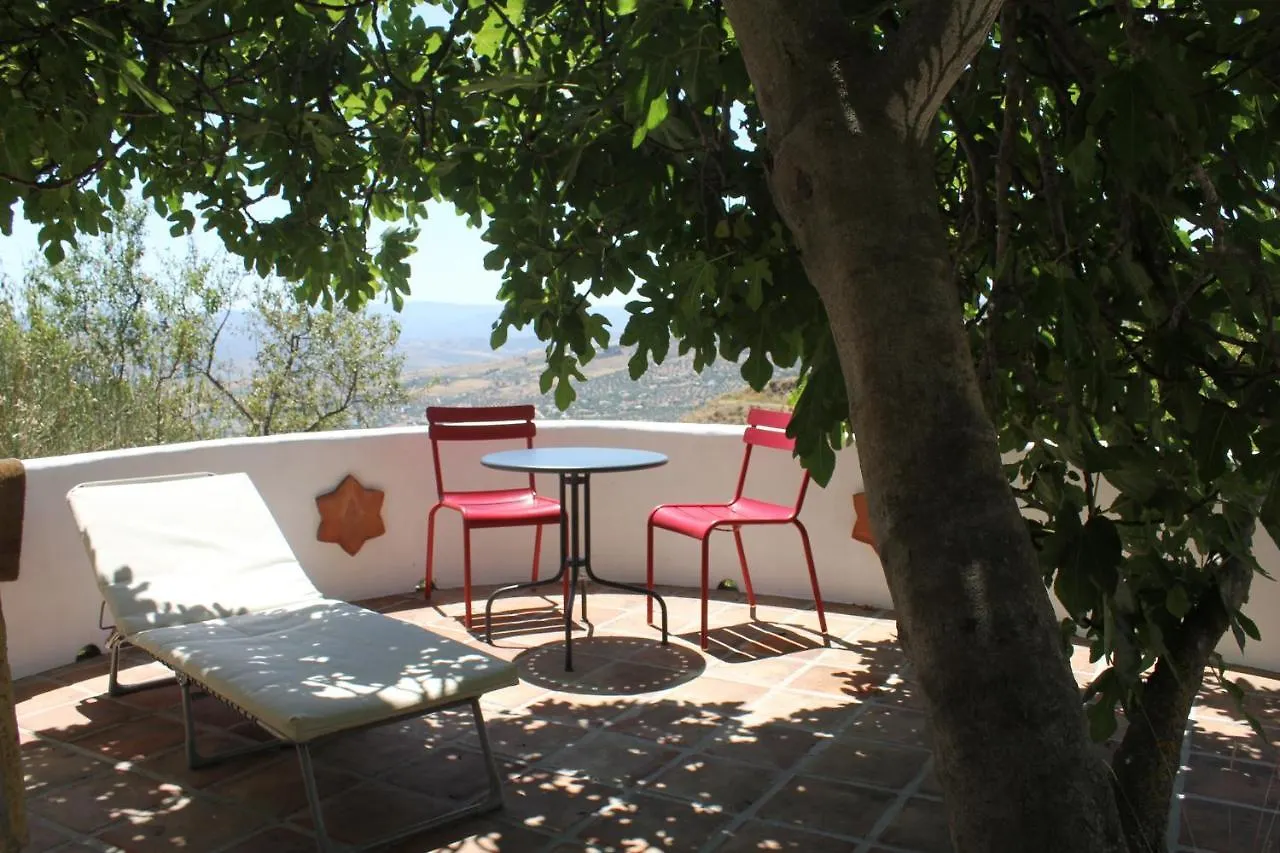 Bed & Breakfast El Nispero Dulce Bed and Breakfast Alcaucín